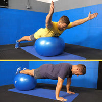 No Back Strain Stability Ball Workout Series - Digital/DVD
