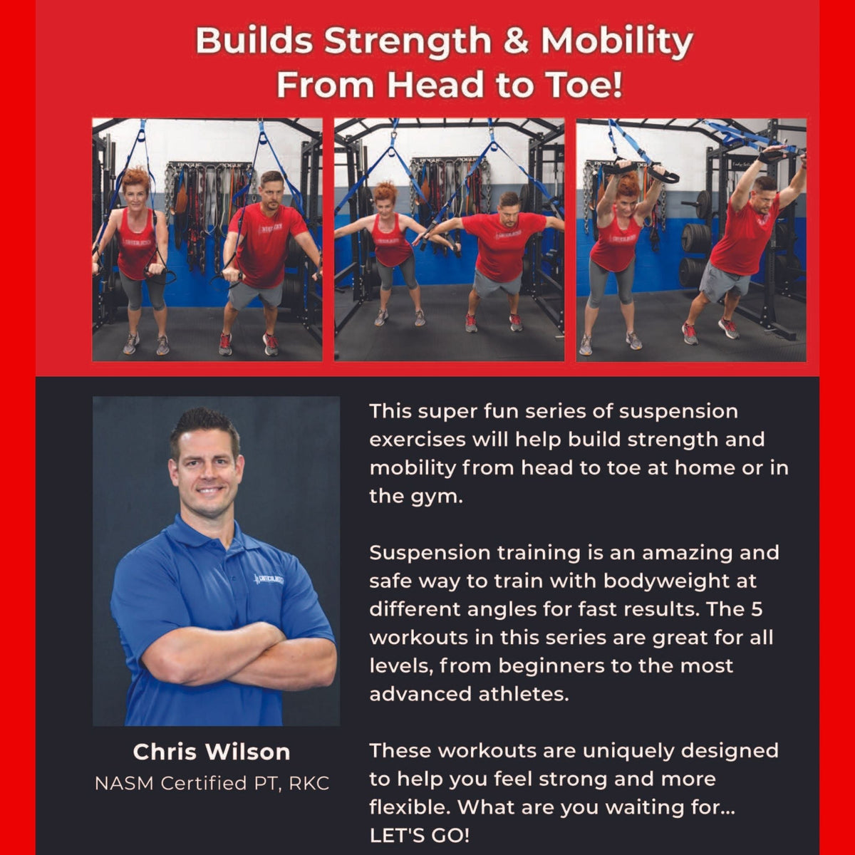 At Home Suspension Strap Full Body Workouts - Bundle